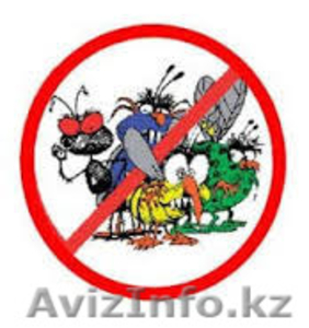 уничтожение вредных насекомых #1346848