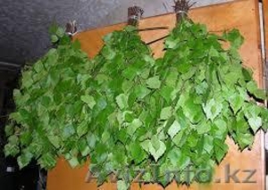 Отличные Березовые банные веники #1354529