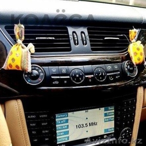 Французский автопарфюм Funel 1884 Астана #1360722