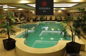 Элитный боди массаж - 40 видов - SPA EUPHORIA (выезд) #1365804