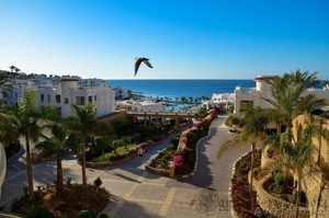 Работа в ОАЭ #1356158