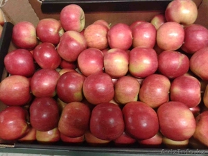 Яблоки польские и молдавские всегда в наличие #1355183