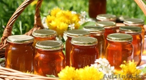 Продам кыргызский мёд #1356923