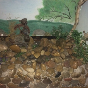 Природный декоративный камень в Астане #1363399