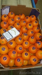 Продаем цитрусы из Испании #1363610