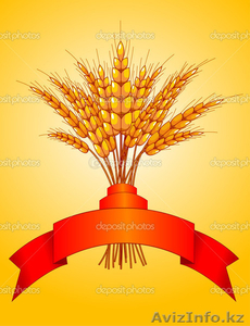 Пшеница, зерно, лен, рапс #1358519