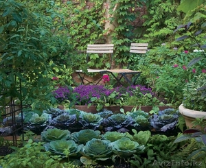 Услуги по ландшафтному дизайну #1355499