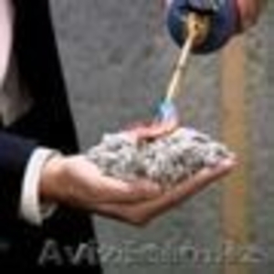 Утепление крыш Эковатой #1355853