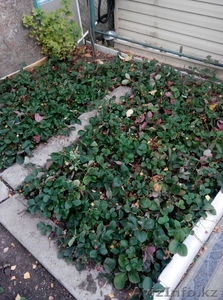 Продажа пятикомнатной квартиры,  83 м,  Аманжолова,  дом 90 за ﻿67 000 $ #1364977