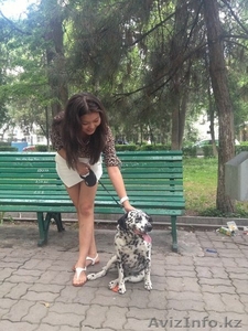 Массаж мужчинам,  и не только #1365050