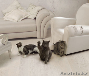 Видео фото съемка Full HD авторский монтаж #1364550