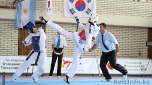 Секция таеквондо ВТФ #1376307