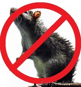 ДЕЗИНФЕКЦИЯ ДЕЗИНСЕКЦИЯ ДЕРАТИЗАЦИЯ ПОМЕЩЕНИЙ  #1378510