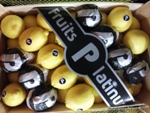 Поставка овощей и фруктов из Испании #1379076