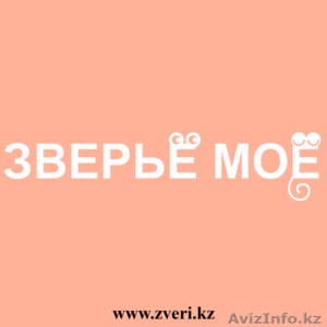 Зоотовары в Алматы #1376189