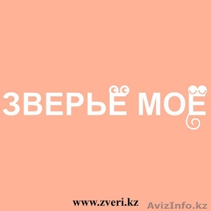 Товары для животных. #1377519