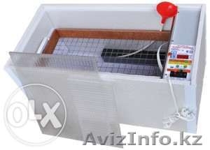 Купить инкубатор в Алматы. Новые инкубаторы вы можете купить у нас #1372778