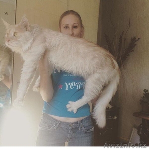 предлагаю услуги зооняни #1374678