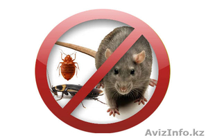 ДЕЗИНФЕКЦИЯ  ДЕЗИНФЕКЦИЯ  #1378512