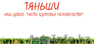 Акупунктурная диагностика всего организма #1372255