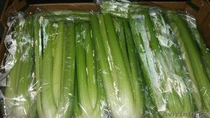 Поставка сезонных фруктов и овощей из Испании #1379087