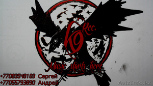 Студия звукозаписи K9RM #1367590