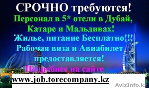 Работа за рубежом! ОАЭ,  Катар, Оман,  Мальдивы,  США #1386756