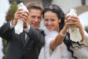 Все для праздника. Фото и видеосъемка и организация мероприятия под ключ #1382699