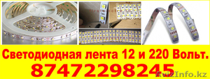 Светодиодная лента 12 и 220 Вольт.  #1383979