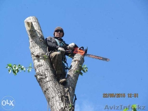 Спиливание деревьев,  веток,  кронирование. #1387242