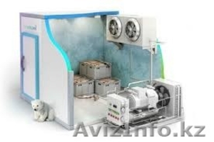 Холодильное оборудование для хранения продукции #1397959