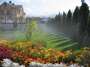 Установка автоматических систем полив и озеленение вашего участка #1386068