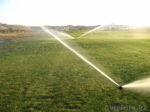 Посадка растений и устройство газонов в вашем саду #1386070