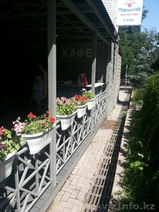 Ворота,  навесы,  лестницы,  ограждения кованые и сварные #1395187