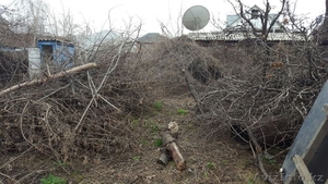 Чистка ЗАРОСШИХ участков в Алматы и Алматинской области! #1398365