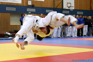 Дзюдо - школа чемпионов #1399151