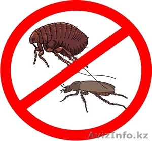 Дезинсекция (уничтожение вредоносных насекомых) #1380094