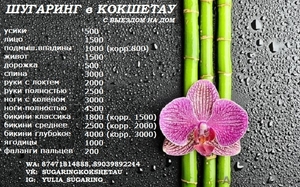 Шугаринг. Выезд на дом. Сертификат # 012289 #1397512