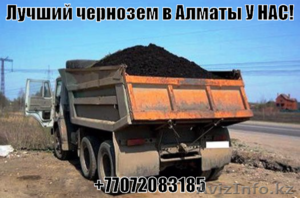 Чернозем горный #1382789