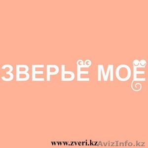 Зоотовары в Алматы #1400434