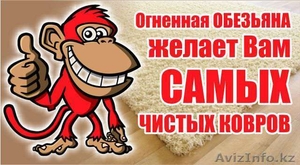 Мойка и чистка ковров #1403029