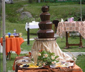 Шоколадный и фруктовый фонтан #1415486