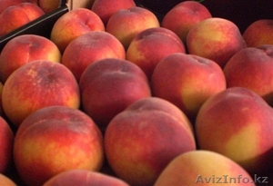 Персики из Испании #1423061