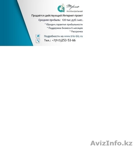 Продаётся действующий Интернет-проект с прибылью 120 тыс.руб. #1411768