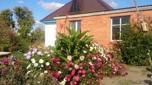 Супер выгодное предложение! #1425883