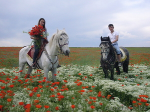 Конные прогулки #1415389