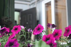 Койко-место в хостеле #1442370