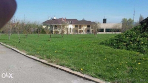 Покос травы,  газона. Уборка на участке #1436668