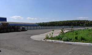 Аренда открытой площадки. Район индустриального парка. #1446943