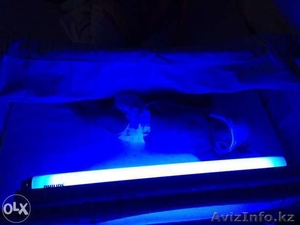Лампа для лечения желтушки  #1433797